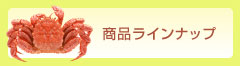 商品ラインナップ